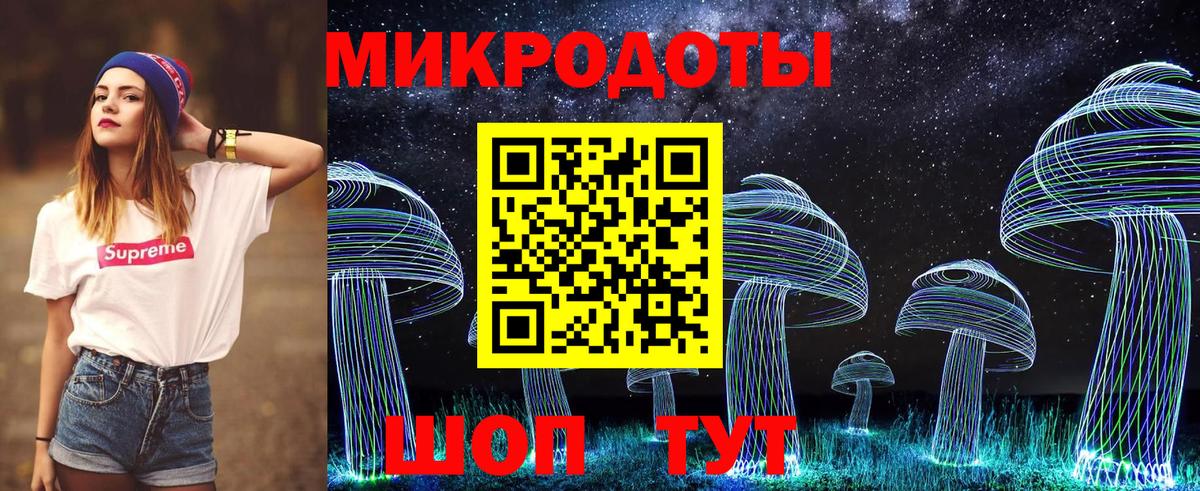 Псилоцибиновые грибы Cubensis Сафоново