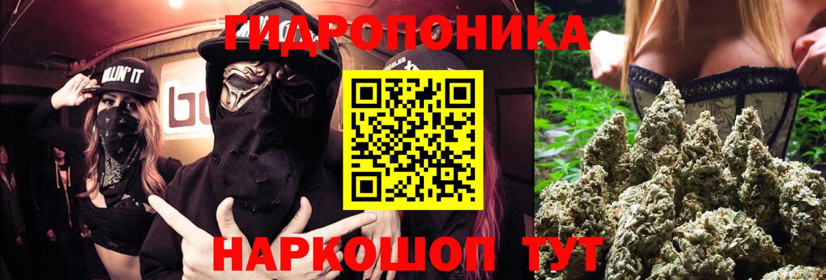 Канабис конопля Сафоново